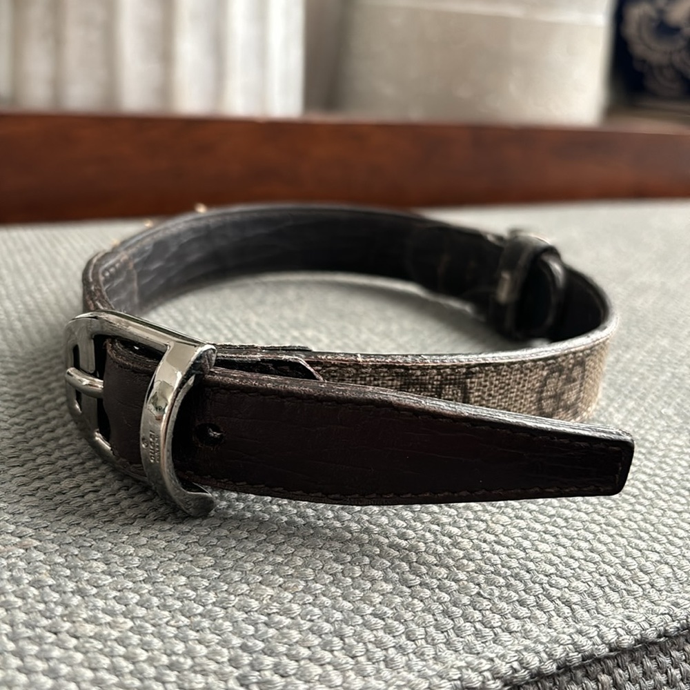 Gucci Dog Collar Authentic - Picture 3 of 12